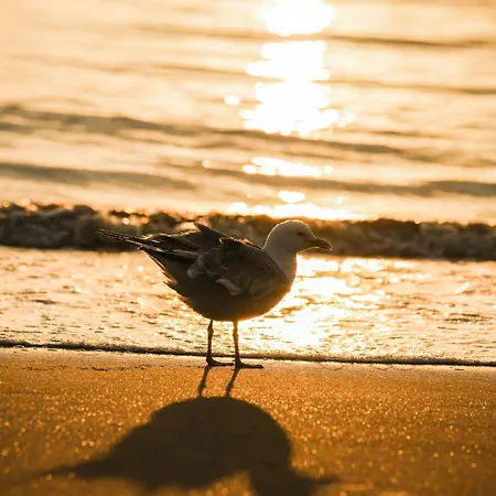 B&sea * Zandvoort